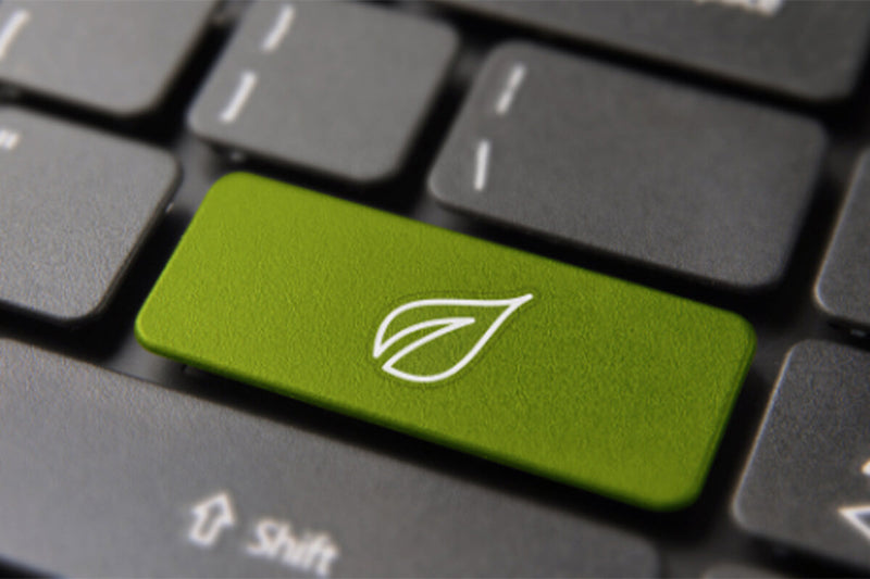 close up of a computer keyboard with a green key featuring a leaf icon