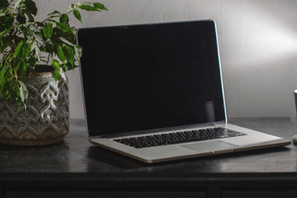Open laptop with black screen, on a desk next to a pot plant